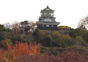 画像：秋の浜松城